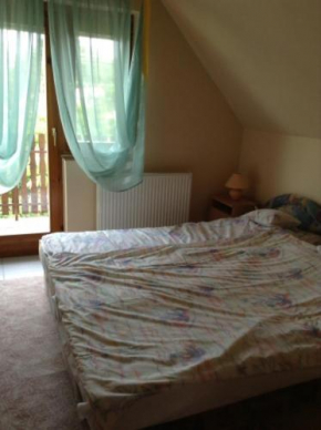 Отель Szemán Apartman  Харкань